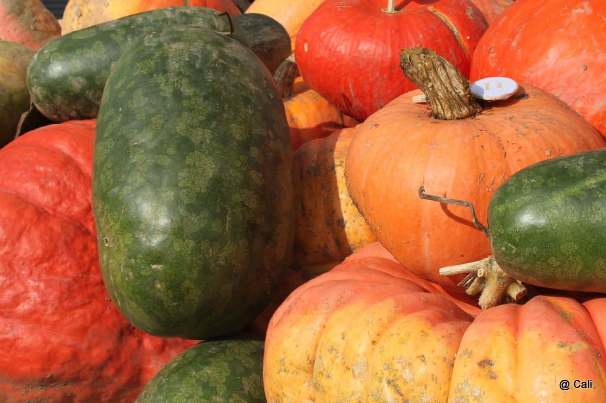 Comice de lanouaille, foire et produit du terroir en Dorogne Périgord